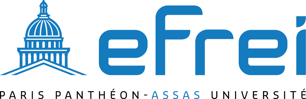 Logo_Efrei_img